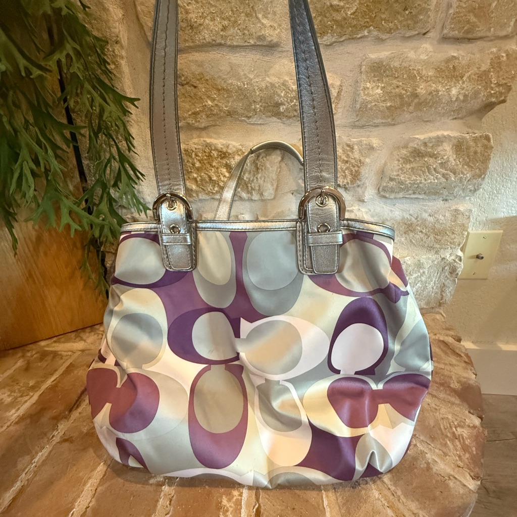 Stylish Multicolor Women's Bag